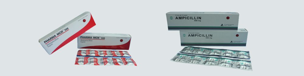 ampicillin